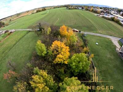 Grundstück kaufen in 2732 Würflach