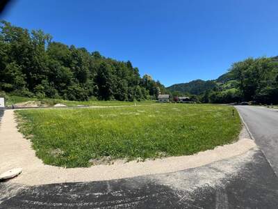 Grundstück kaufen in 3263 Randegg (Bild 3)