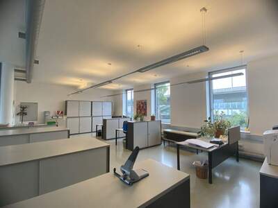 Gewerbeobjekt mieten in 1190 Wien (Bild 1)