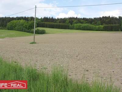 Grundstück kaufen in 4170 Haslach