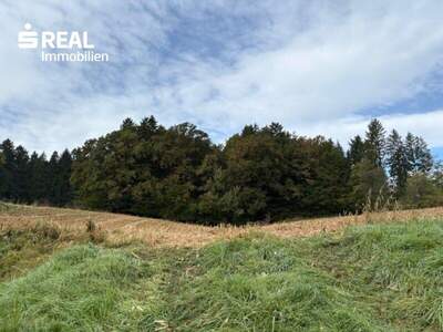 Grundstück kaufen in 8083 St. Stefan (Bild 2)