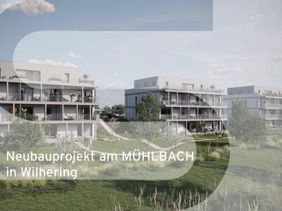 Anlageobjekt kaufen in 4073 Wilhering