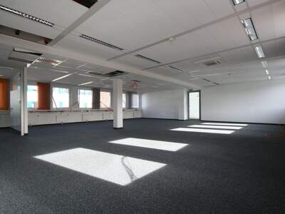 Gewerbeobjekt mieten in 5020 Salzburg (Bild 2)