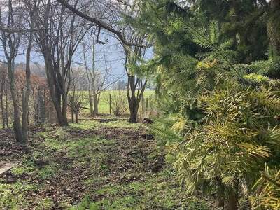 Grundstück provisionsfrei mieten in 5020 Salzburg