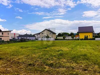 Grundstück kaufen in 2454 Trautmannsdorf (Bild 1)