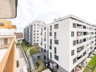 Terrassenwohnung mieten in 1100 Wien (Bild 2)