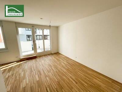Terrassenwohnung mieten in 1230 Wien (Bild 2)