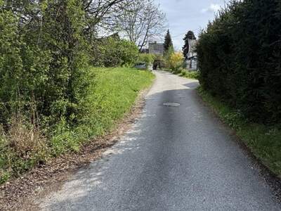 Grundstück kaufen in 4223 Bodendorf (Bild 5)