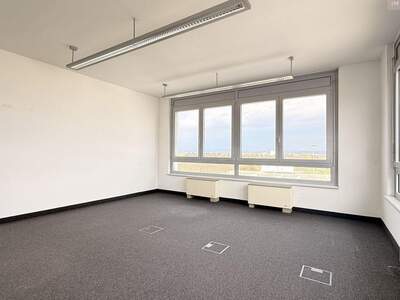 Gewerbeobjekt mieten in 2320 Schwechat (Bild 5)