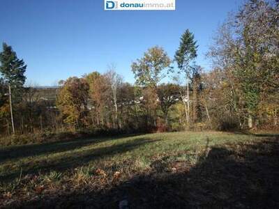 Grundstück kaufen in 7431 Bad Tatzmannsdorf
