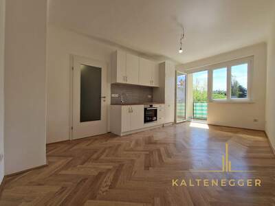 Wohnung mit Balkon mieten in 1190 Wien (Bild 1)