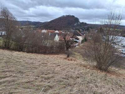 Grundstück kaufen in 2534 Alland