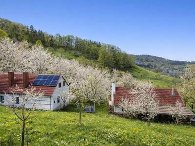 Haus kaufen in 8051 Thal