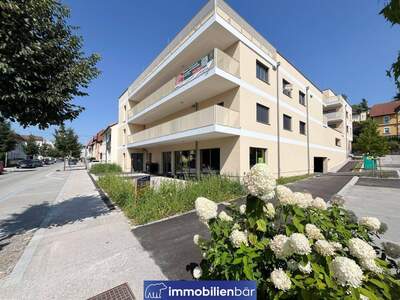 Anlageobjekt mieten in 4710 Grieskirchen