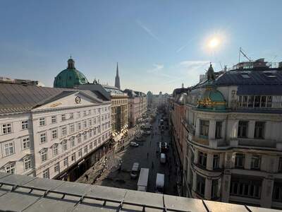 Terrassenwohnung mieten in 1010 Wien (Bild 1)