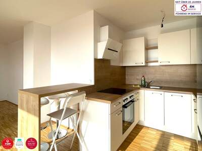 Terrassenwohnung mieten in 1230 Wien (Bild 4)