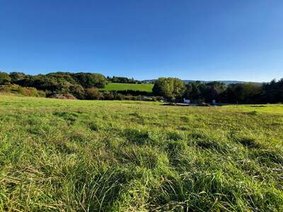 Grundstück kaufen in 3040 Neulengbach (Bild 2)