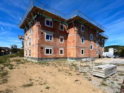 Mietwohnung in 4142 Hofkirchen (Bild 5)