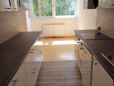 Terrassenwohnung mieten in 3400 Klosterneuburg (Bild 5)