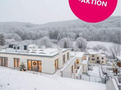 Terrassenwohnung kaufen in 2391 Kaltenleutgeben (Bild 5)