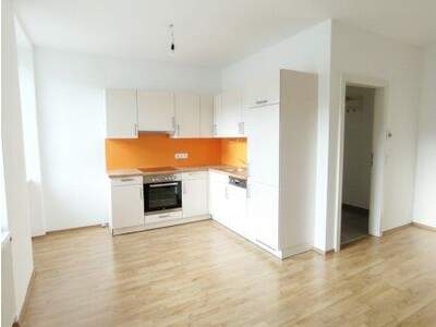 Wohnung mieten in 2565 Neuhaus (Bild 3)