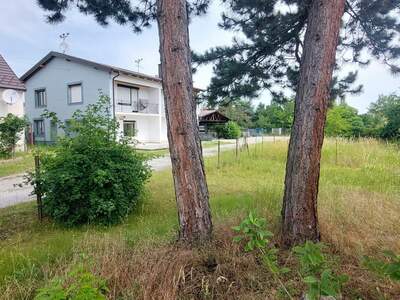 Mehrfamilienhaus kaufen in 2603 Felixdorf (Bild 1)