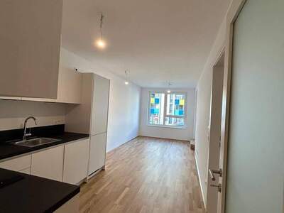 Wohnung provisionsfrei mieten in 1140 Wien