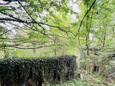 Grundstück kaufen in 3013 Pressbaum