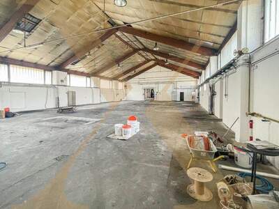 Halle / Lager / Produktion mieten in 3133 Traismauer