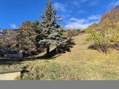 Haus kaufen in 2103 Langenzersdorf (Bild 4)