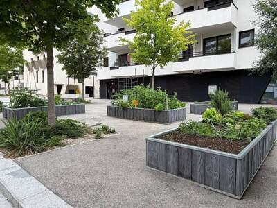 Wohnung mieten in 1100 Wien