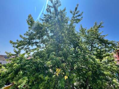 Eigentumswohnung in 8020 Graz (Bild 5)