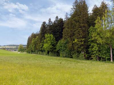 Land- und Forstwirtschaft kaufen in 4890 Frankenmarkt