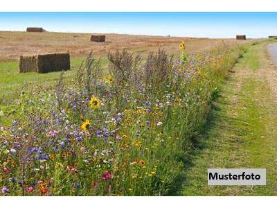 Lager kaufen in 2722 Muthmannsdorf (Bild 1)