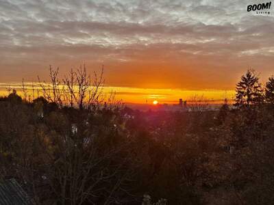 Wohnung kaufen in 1190 Wien