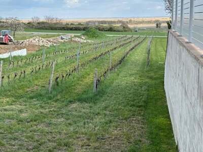 Grundstück kaufen in 7083 Purbach