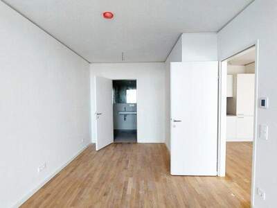 Terrassenwohnung mieten in 1220 Wien (Bild 1)