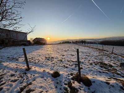 Grundstück kaufen in 4223 Weidegut (Bild 2)