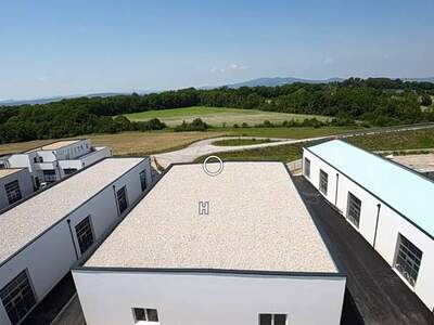 Anlageobjekt kaufen in 2601 Sollenau