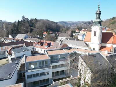 Haus mit Garten kaufen in 3400 Klosterneuburg (Bild 2)