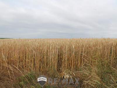 Grundstück kaufen in 2011 Sierndorf (Bild 3)