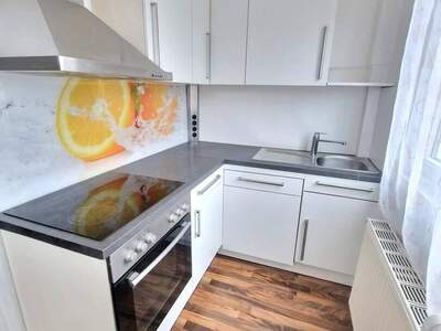 Wohnung provisionsfrei mieten in 8055 Graz