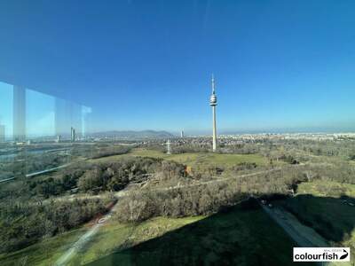 Gewerbeobjekt mieten in 1220 Wien