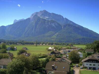 Grundstück kaufen in 5081 Anif