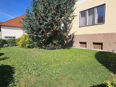 Anlageobjekt kaufen in 9754 Steinfeld (Bild 5)