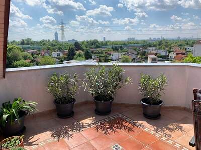 Altbauwohnung mit Balkon kaufen in 1210 Wien (Bild 1)