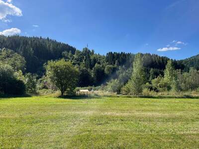 Grundstück kaufen in 8653 Stanz (Bild 3)