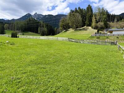 Grundstück kaufen in 8962 Mitterberg (Bild 4)