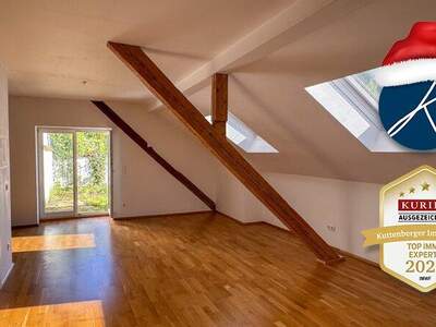 Terrassenwohnung mieten in 3150 Wilhelmsburg (Bild 1)