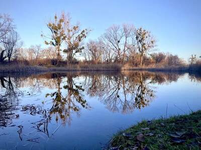 Immobilie kaufen in 1220 Wien